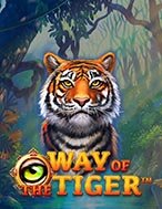 Way of the Tiger Slot