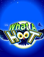 Đêm Cú Vọ – What A Hoot Slot