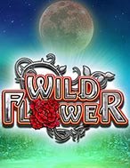 Slots Hoa Dại – Wild Flower