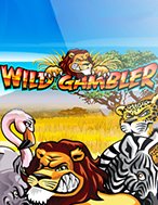 Wild Gambler Slot