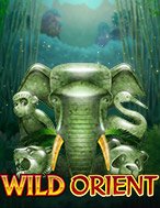 Thần Thú Phương Đông – Wild Orient Slot