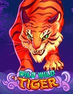 Wild Wild Tiger Slot