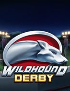 Đua Chó Bạc – Wildhound Derby Slot