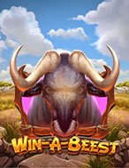 Bò Rừng Cuồng Nộ – Win-A-Beest Slot