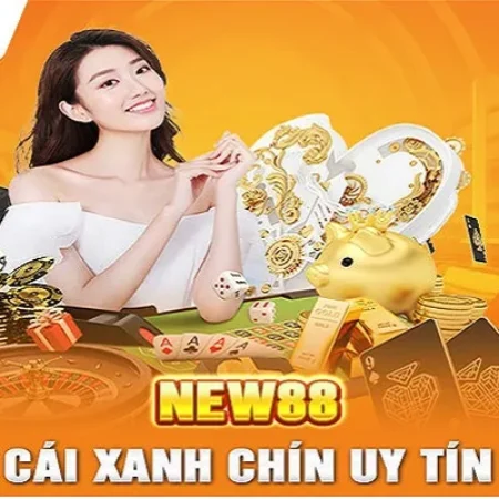 Khám phá trang cá độ bóng đá New88 – Địa chỉ vàng cho các cược thủ